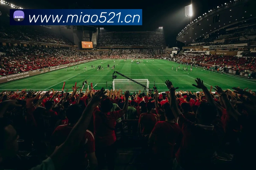 多媒体互动体验